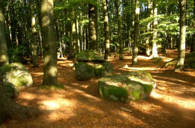 Meeting place for druids, © Tourismusverband Ysper-Weitental