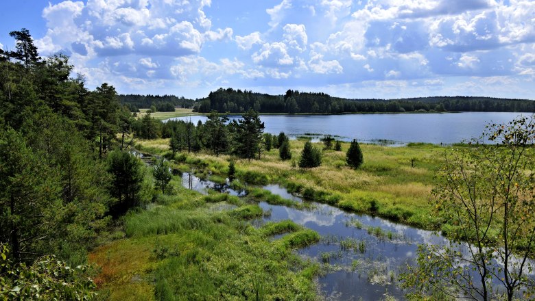 Nature Park Heidenreichstein, © POV