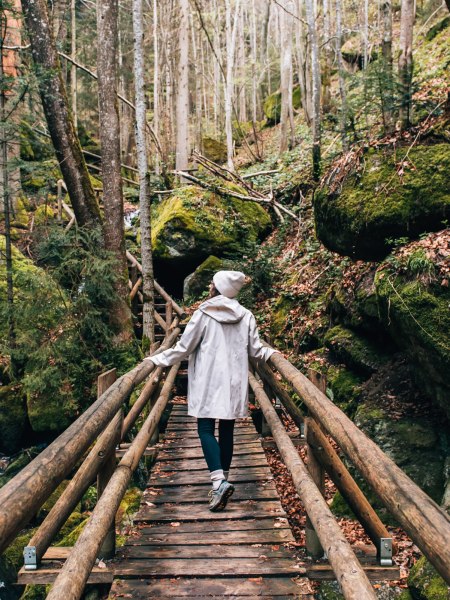 Wandern im Waldviertel, © Waldviertel Tourismus, sommertage.com