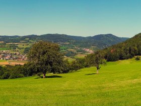 Blick zurück auf Pöggstall, © Gottfried Grossinger