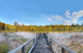 Prügelsteg im Naturpark Heidenreichsteiner Moor, © Horst Dolak