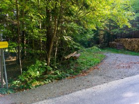 Waldweg, © Gottfried Grossinger