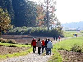 Wandern am Kneipprundwanderweg, © Othmar Nowak