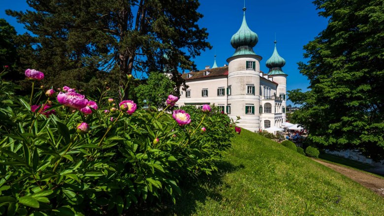 Pfingstrosenfest - Schloss Artstetten, © Schloss Artstetten/D. Mayrhofer