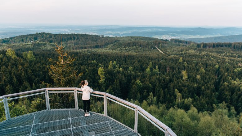 Nebelstein, © Waldviertel Tourismus, linesadventures