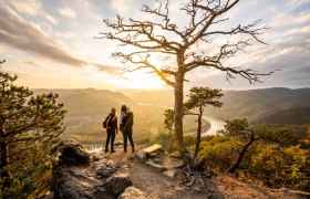 In Dürnstein von der Kanzel, © Donau NÖ Tourismus/Robert Herbst