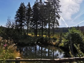 Hirschenstein-Ödhof, © Gemeinde Gutenbrunn