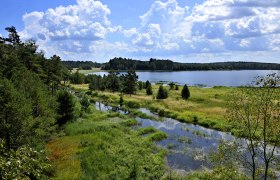 Naturpark Heidenreichsteiner Moor, © POV