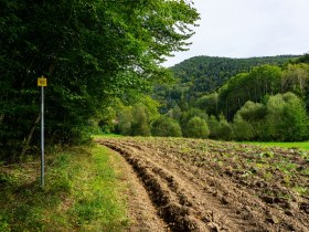 Blick zum Mandlgupf, © Gottfried Grossinger