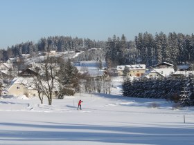 Langlaufen in Bärnkopf - Ortsloipe 1, © Waldviertel Tourismus