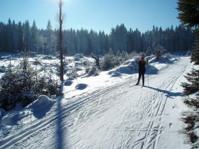 Langlaufen Gutenbrunn, © © Gustl Marschall sen.