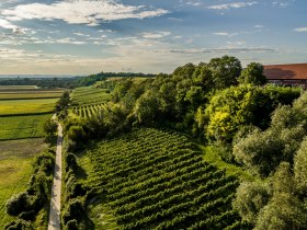 Stetteldorf am Wagram, © Donau Niederösterreich - Kamptal-Wagram-Tullner Donauraum