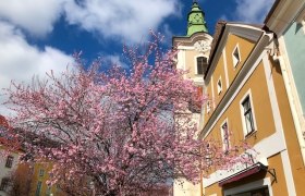 Altes Rathaus, © Waldviertel Tourismus