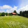 mit Blumenwiese im Juni, © Steiner