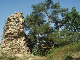 Ruine Buchenstein, © Waldviertel Tourismus