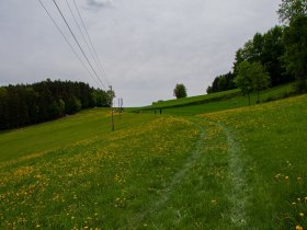 Bergauf nach Würnsdorf und Bergern, © Gottfried Grossinger