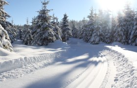 Zilleck-Loipe 4, © Waldviertel Tourismus