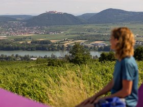 Aussicht vom Kuhberg in Krems, © Wachau-Nibelungengau-Kremstal