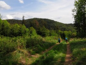 Hölltal Weg, © Gottfried Grossinger