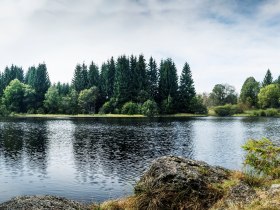 Edlesberger See, Gutenbrunn, © © Niederösterreich Werbung, Michael Liebert