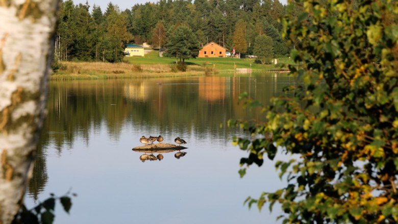 Frauenwieserteich, © Ing. Walter Bröderbauer