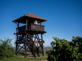 Wanderweg zur Aussichtswarte am Gobelsberg, © POV