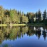 Hanslteich, 1 km entfernt, © Dieter Juster