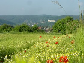 Gars am Kamp, © © Marktgemeinde Gars am Kamp