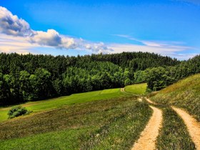 Am Weg nach Pömling, © Wachau-Nibelungengau-Kremstal