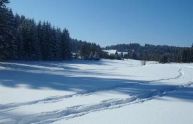 Schneeschuhwandern in Langschlag, © Renate Hahn