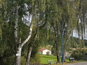 Dorfweg, © Marktgemeinde St. Martin