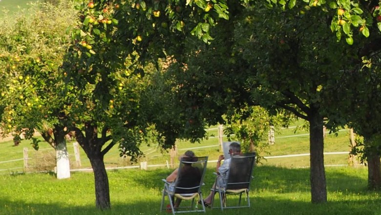 im-hausgarten-ein-kuehles-plaetzchen, © ferienwohnung wiesmüller