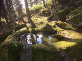 Warzensteinweg, © Marktgemeinde St. Martin