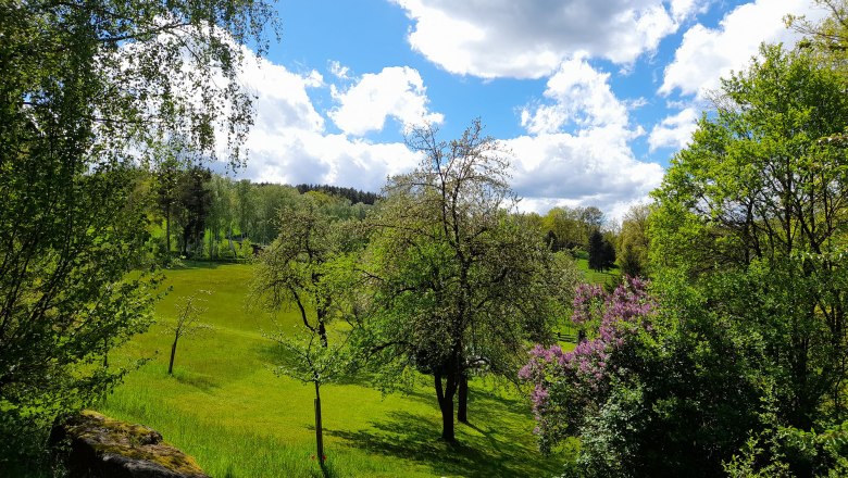 Hauswiese Flieder, © Ferienhaus Angel, Fotograf Heidi Angel