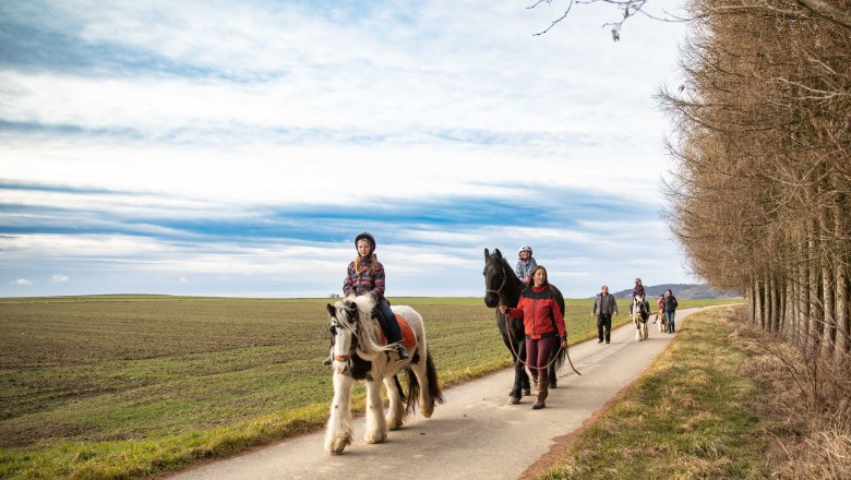 Pferdewanderung - Erlebnishof Strasser, © Erlebnishof Strasser