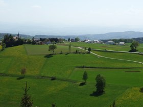 Herzsteinweg, © Leo Baumberger