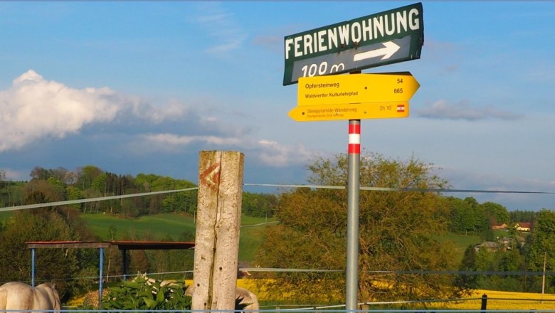 Wanderwege führen am Haus vorbei, © ferienwohnung wiesmüller