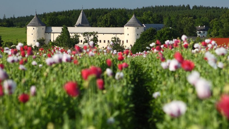 Schloss Ottenschlag, © Martin Rehberger