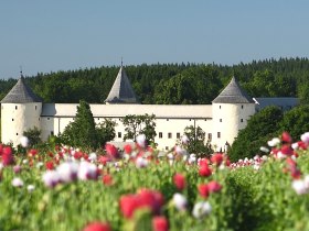 Schloss Ottenschlag, © Martin Rehberger