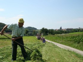 Heuarbeiten bei Maria Laach, © Naturpark Jauerling-Wachau/Ronald Würflinger