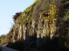 Wagram-Lösswege, © Donau Niederösterreich - Kamptal-Wagram-Tullner Donauraum