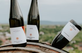 Weingut Fichtenbauer-Mold, © Weingut Fichtenbauer-Mold