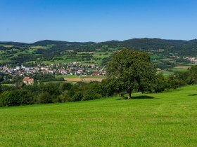 Güterweg zum Mandlgupf, Blick zurück nach Pöggstall, © Gottfried Grossinger