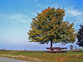 Rastplatz bei Litschau, © Stadtgemeinde Litschau