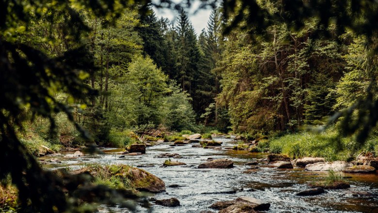 Auf Hundert Wassers Spuren Zwettl, © Österreichs Wanderdörfer, CreativeJungle