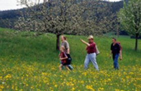 Kellergassenwanderung, © Waldviertel Tourismus