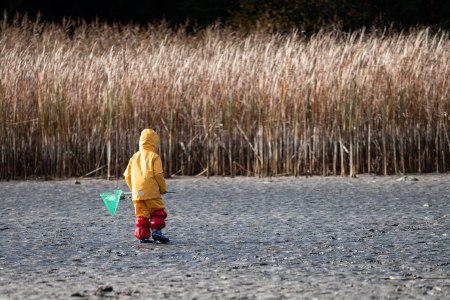 Bruneiteich, © Waldviertel Tourismus, Claudia Schlager