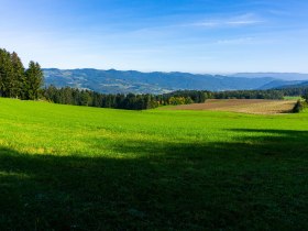 Herrliche Aussicht nach Aschelberg und Jauerling, © Gottfried Grossinger