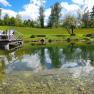 Schwimmteich im Mai mit Steg, © Ferienhaus Angel, Fotograf Heidi Angel