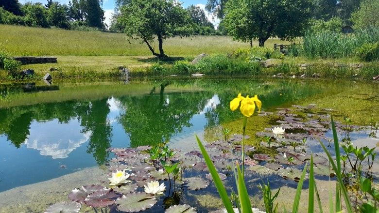 Schwimmteich, © Ferienhaus Angel, Fotograf Heidi Angel